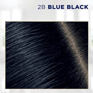 Clairol Root Touch-Up by Nice'n Easy Permanent Hair Dye, 2B Blue Black Hair Color, Pack of 1