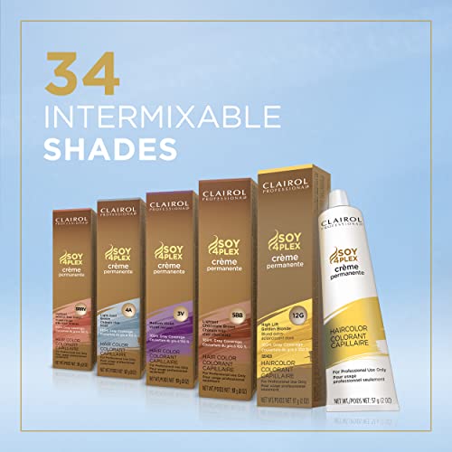 Clairol Professional Permanent Crème Hair Color 12g High Lift Gold Blonde