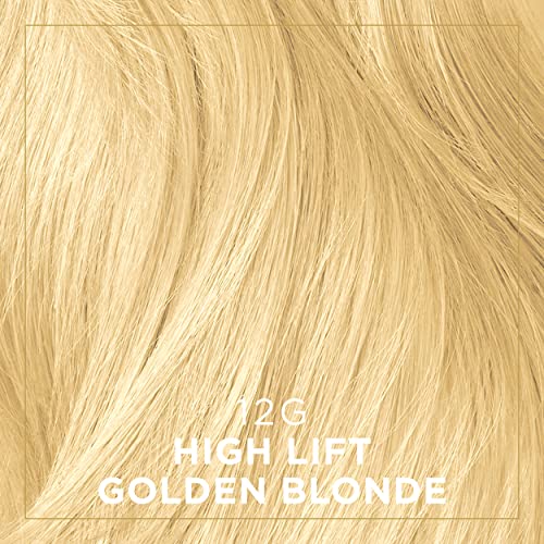 Clairol Professional Permanent Crème Hair Color 12g High Lift Gold Blonde