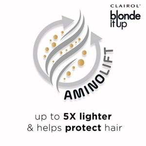 Clairol Blonde It Up Permanent Hair Dye, Platinum Blonde Hair Color, Pack of 1