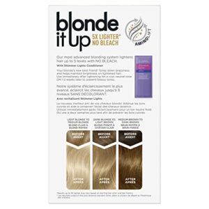 Clairol Blonde It Up Permanent Hair Dye, Platinum Blonde Hair Color, Pack of 1