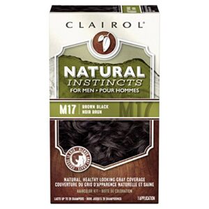 clairol natural instincts semi-permanent hair dye for men, m17 brown black hair color, 1 count