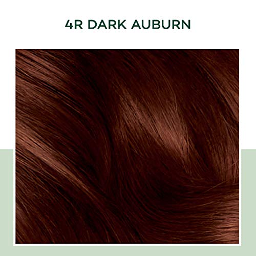 Clairol Natural Instincts Demi-Permanent Hair Dye, 4R Dark Auburn Hair Color, Pack of 1