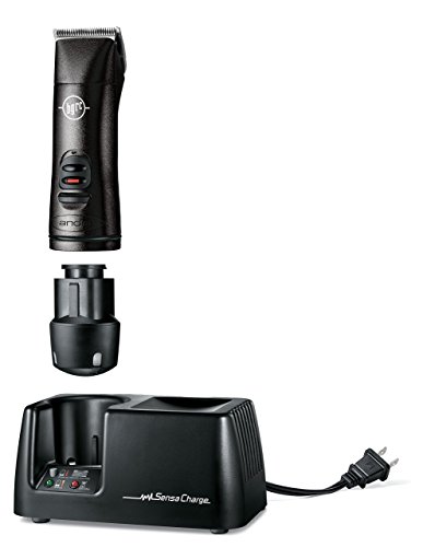 Andis 63700 BGRC Hair Clipper with Detachable Blade, Black