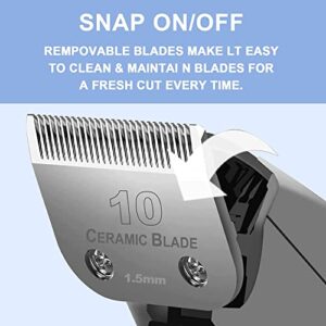 10 Blade Dog Grooming Clipper Replacement Blades Compatible with Andis/Wahl / Oster Dog Clippers,Detachable Ceramic Blade & Stainless Steel Blade,Size-10, 1/16-Inch Cut Length (64315)