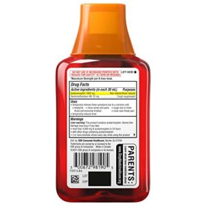 Theraflu Max Strength Daytime Flu Symptom Relief, Honey and Elderberry Syrup, 8.3 Fl Oz and Nighttime Flu Symptom Relief, Honey Lemon - 6 Count