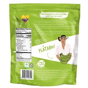 ARTISAN TROPIC Plantain Strips – Vegan, Paleo, Gluten Free Chips - Individual Bags Healthy Snacks for School, Gym, Kids – Whole 30 Approved Foods Baked Banana Chips – Sea Salt (1 Oz - 6 Pack)