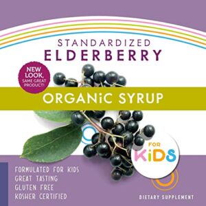 Nature's Way Sambucus Organic Elderberry Syrup for Kids, Black Elderberry Extract, Great Tasting, Gluten-Free, 4 Fl. Oz