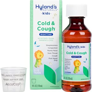 Hyland's Naturals Cold Medicine for Kids Ages 2+, Nighttime Cough Syrup, Decongestant, Allergy & Common Cold Symptom Relief, 4 Fl Oz