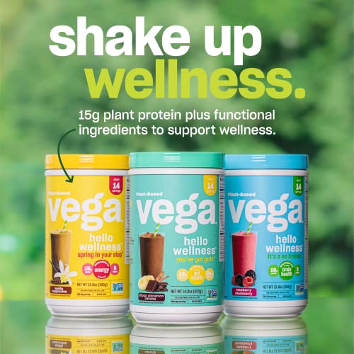 Vega Hello Wellness You’ve Got Guts Blender Free Smoothie, Choco Cinnamon Banana (14 Servings) Plant Based Vegan Protein Powder, 5g Prebiotic Fiber, 0g Added Sugar, 14.3oz (Packaging May Vary)