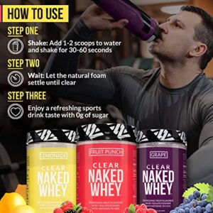 Clear Naked Whey Protein Isolate, Fruit Punch, 100% Iso Protein Powder, No GMOs or Artificial Sweeteners, Gluten-Free, Soy-Free - 30 Servings