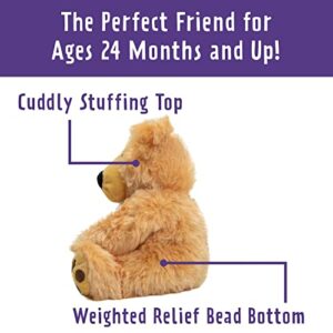 1i4 Group Warm Pals Microwavable Lavender Scented Plush Toy Weighted Stuffed Animal - Bear