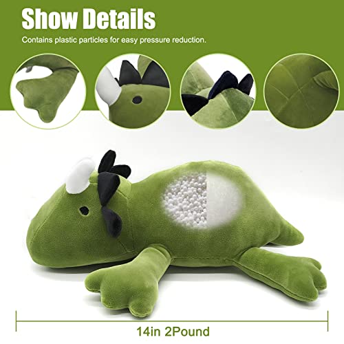 Plupiapio 2lbs Cute Soft Dinosaur Weighted Stuffed Animals, 14 inch Green Dino Stuffed Plush Animal Throw Pillows, Kawaii Plushies Hugging Toy Gifts for Kids