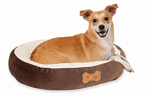 Petmate 290206 Aspen Pet Oval Cuddler Pet Bed, 20" x 16", Chocolate Brown