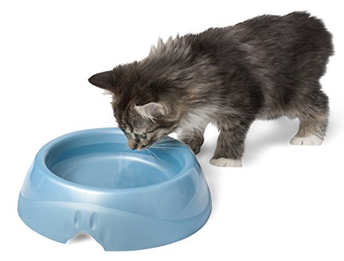 Petmate 23079 Pet Dish, Large