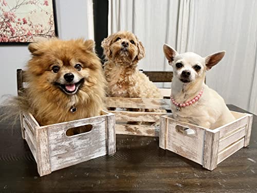 Admired By Nature Rustic White Set of 3 Distressed Decorative Wood Crates Storage Container