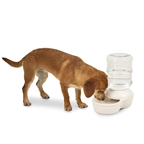 Aspen Pet Aspen Pet Lebistro Cat and Dog Water Dispenser