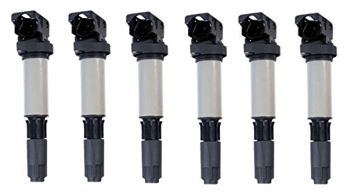 ENA Set of 6 Ignition Coil Pack Compatible with BMW M3 X3 X5 Z3 Z4 325i 325Ci 325xi 330i 330Ci 330xi 525i 530i 650i 745Li 750i 760i 2.5L L6 3.0L L6 4.8L V8 6.0L V12 Replacement for C1404 UF515