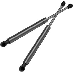 ECCPP 2pcs Front Hood Lift Supports Struts Rods Shocks for BMW 323Ci 323i 325Ci 325i 325xi 328Ci 328i 330Ci 330i 330xi 1998 1999 2000 2001 2002 2003 2004 2005 2006