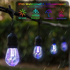 SHINE HAI 2-Pack 48FT Outdoor RGB String Lights, Cafe LED String Light with 30+5 Shatterproof Edison Bulb Dimmable, Commercial Light String for Patio Backyard Christmas Party, 2 Remote, 96FT