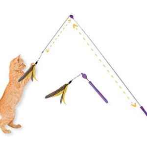 Petmate JACKSON GALAXY AIR Wand