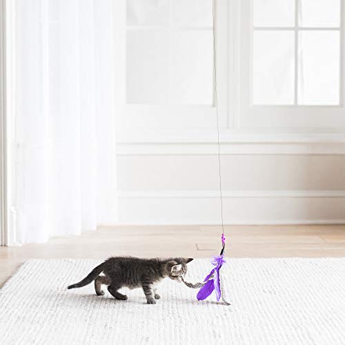 Petmate JACKSON GALAXY AIR Wand