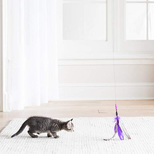 Petmate JACKSON GALAXY AIR Wand