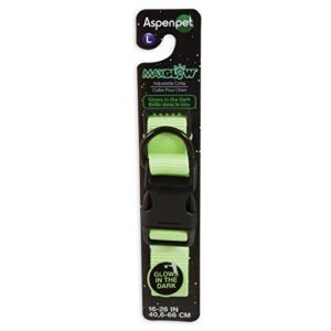 petmate glow-in dark adjustable collar, 1″ x 16-26″, light green