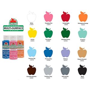 Apple Barrel Multi-Surface Paint Set, 16 Piece (2-Ounce), Colors