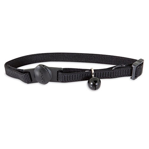 Petmate Aspen Pet Breakaway Cat Collar, 3/8' x 8-12', Black