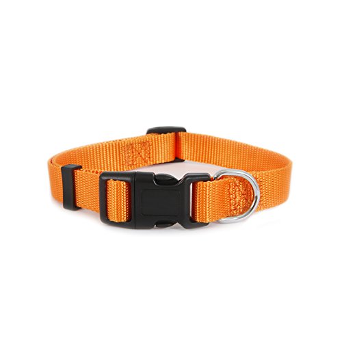 Petmate Ruff Maxx Adjustable Collar, Orange, 1 x 16-26'