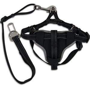 Petmate 11478 The Ultimate Travel Harness for Pets, Large, Black