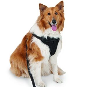 Petmate 11478 The Ultimate Travel Harness for Pets, Large, Black