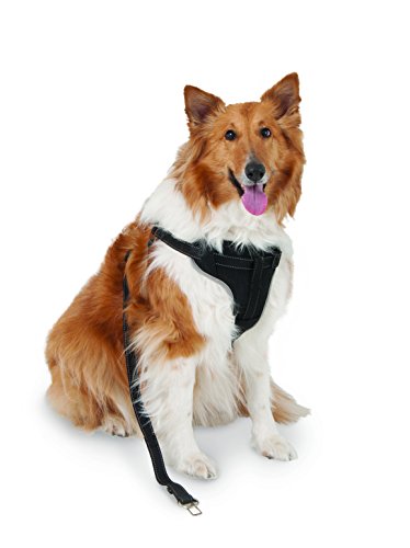 Petmate 11478 The Ultimate Travel Harness for Pets, Large, Black