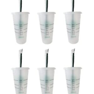 Starbucks 6 Pack Bundle - Reusable Frosted 24 oz Cold Cups with Lid and Green Straw w/ Stopper