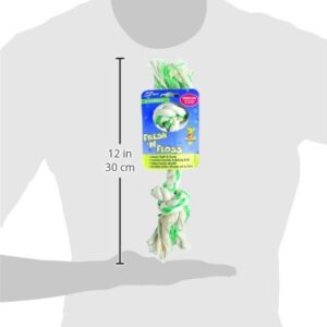 Petmate Aspen/Booda Corporation DBX52302 Fresh and Floss 2-Knot Spearmint Toy for Pets, Medium