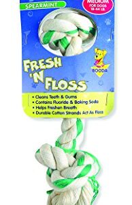 Petmate Aspen/Booda Corporation DBX52302 Fresh and Floss 2-Knot Spearmint Toy for Pets, Medium