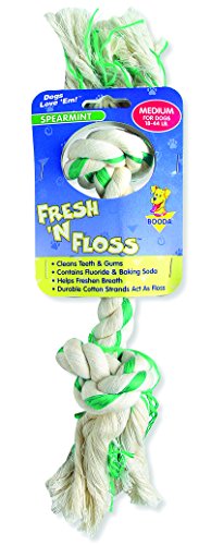 Petmate Aspen/Booda Corporation DBX52302 Fresh and Floss 2-Knot Spearmint Toy for Pets, Medium