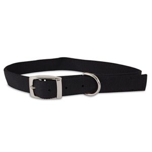 petmate aspen pet products 21370 nylon dog collar, 1 by 24-inch, black