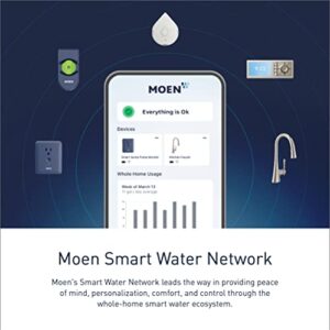 Moen Matte Black Smart Shower 4-Outlet Digital Shower Controller for Thermostatic Shower Valve, TS3304BL