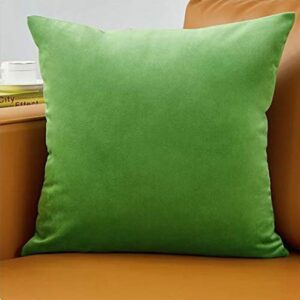 latitude run dolceto velvet throw pillow cover (set of 2) green