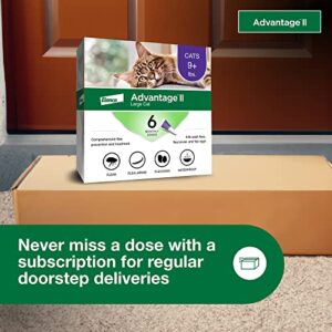 Advantage II Large Cat Vet-Recommended Flea Treatment & Prevention | Cats Over 9 lbs. | 6-Month Supply