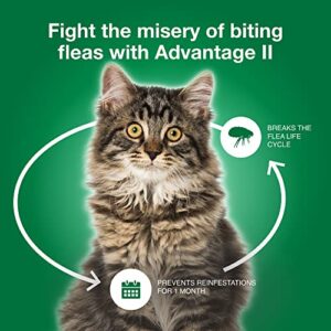 Advantage II Large Cat Vet-Recommended Flea Treatment & Prevention | Cats Over 9 lbs. | 6-Month Supply