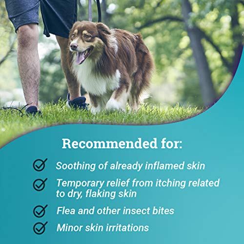 Relief Shampoo, temporary relief of itching and flaking, moisturizer for dry skin and coat, for dogs, cats and horses, 8 oz