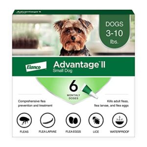 Advantage II Small Dog Vet-Recommended Flea Treatment & Prevention | Dogs 3-10 lbs. | 6-Month Supply