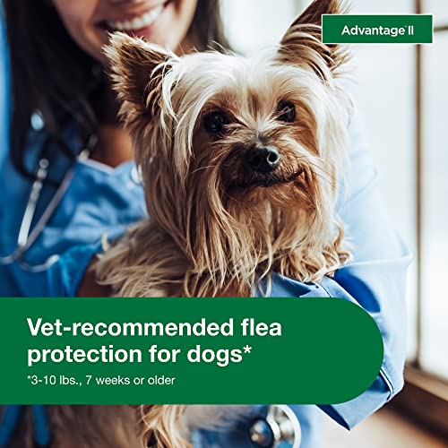 Advantage II Small Dog Vet-Recommended Flea Treatment & Prevention | Dogs 3-10 lbs. | 6-Month Supply