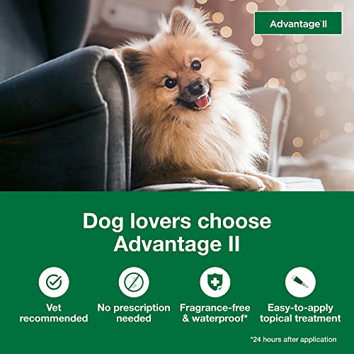 Advantage II Small Dog Vet-Recommended Flea Treatment & Prevention | Dogs 3-10 lbs. | 6-Month Supply