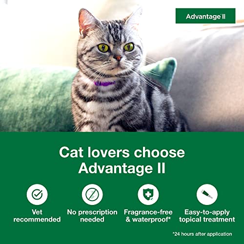 Advantage II Small Cat Vet-Recommended Flea Treatment & Prevention | Cats 5-9 lbs. | 6-Month Supply