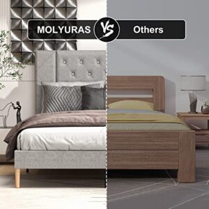 MOLYURAS Full Size Bed Frame, Upholstered Platform Double Full Bed Frame with Button Tufted Suede Velour Headboard, No Box Spring Needed, Sturdy Wood Slat Support, Easy Assembly