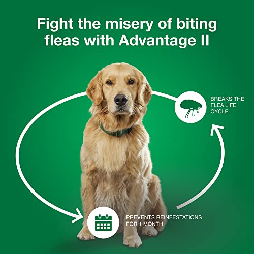 Advantage II Medium Dog Vet-Recommended Flea Treatment & Prevention | Dogs 11-20 lbs. | 4-Month Supply